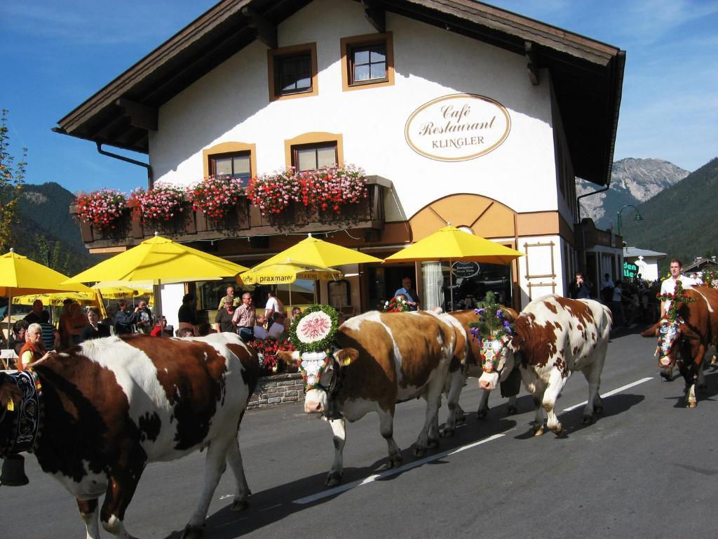 Hotel Klingler 3*